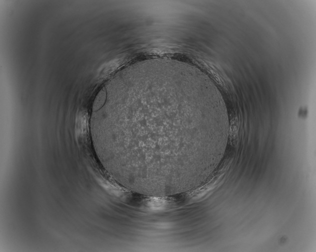 X0000100370623200806131039