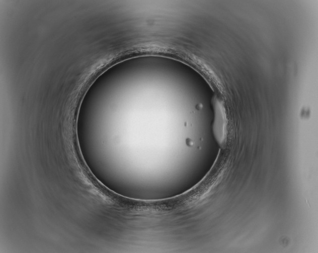 X0000100370625200806131038