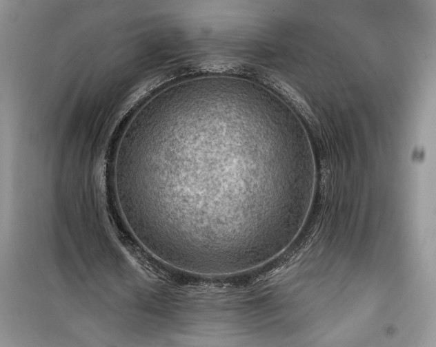 X0000100370626200806131038