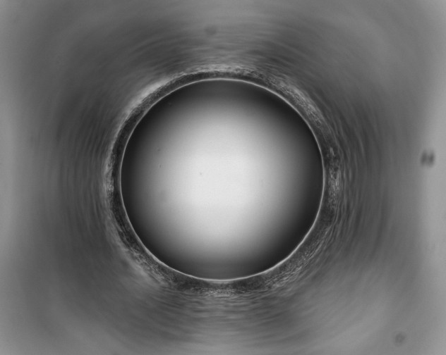 X0000100370628200806131038