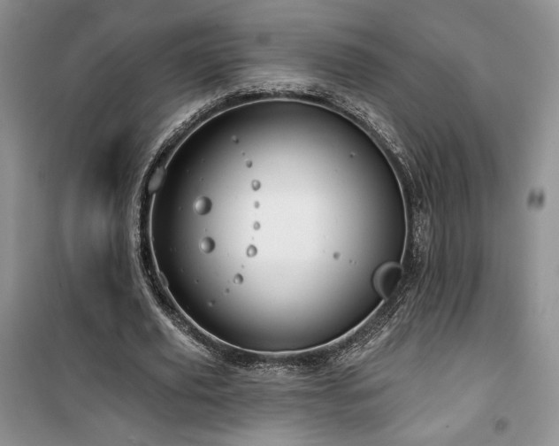 X0000100370629200806131038