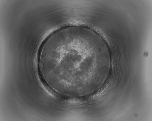 X0000100370630200806131038