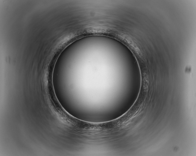 X0000100370631200806131038