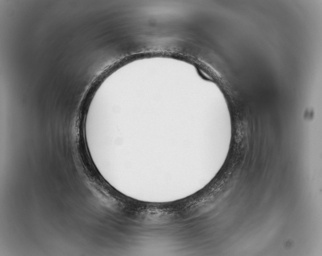 X0000100370632200806131038