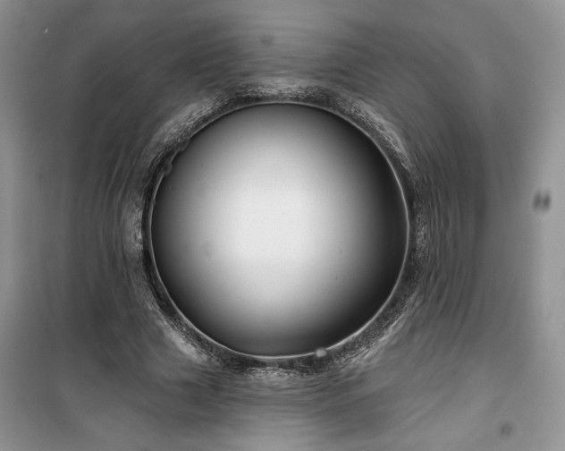 X0000100370633200806131038