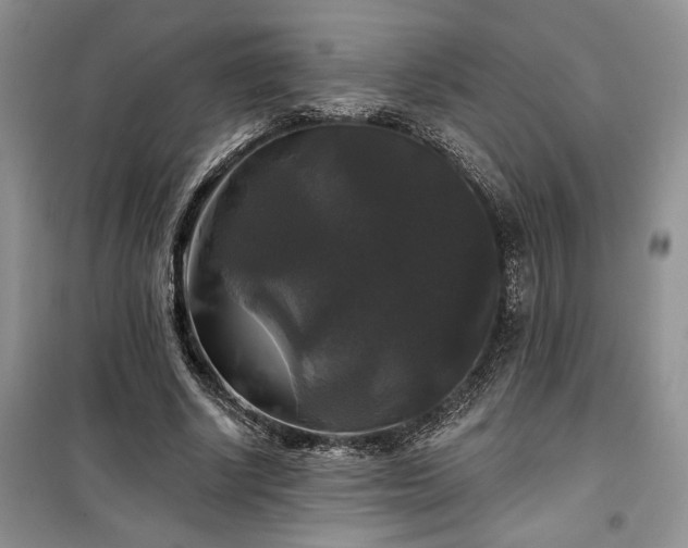 X0000100370634200806131038