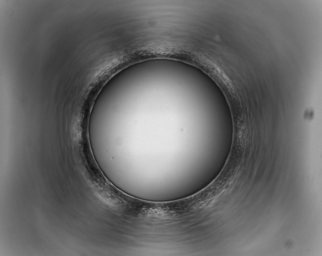 X0000100370635200806131038