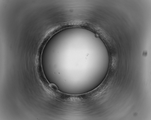 X0000100370636200806131038