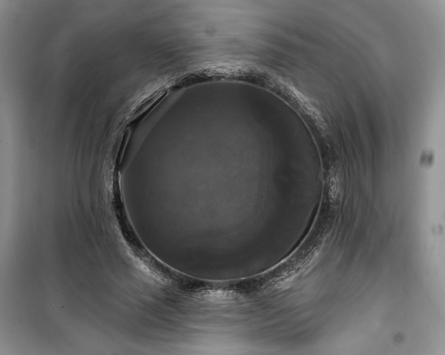 X0000100370637200806131038