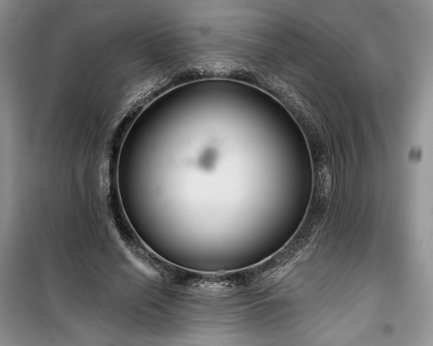 X0000100370638200806131038