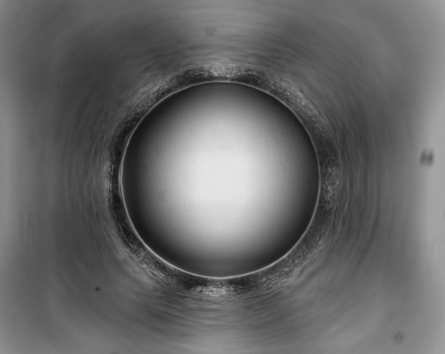 X0000100370639200806131038