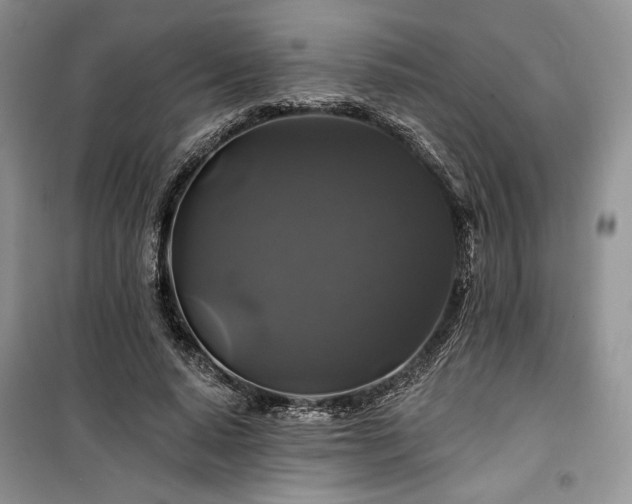 X0000100370640200806131038