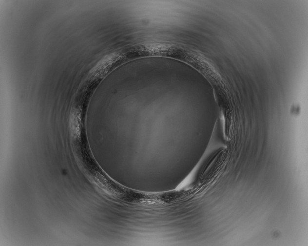 X0000100370644200806131039