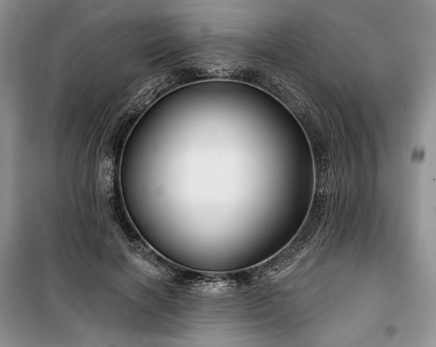 X0000100370646200806131039