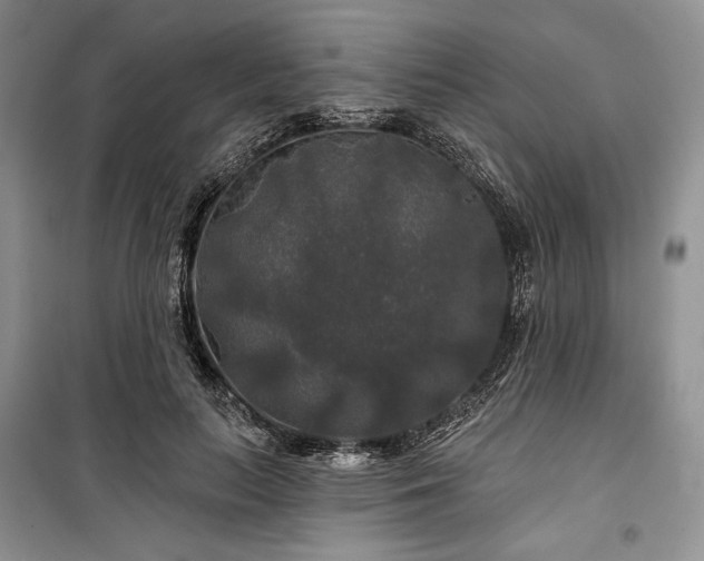 X0000100370647200806131039