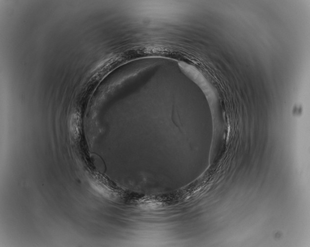 X0000100370648200806131039