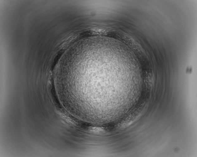 X0000100370649200806131039