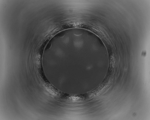 X0000100370650200806131039