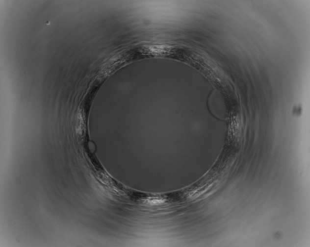 X0000100370651200806131039