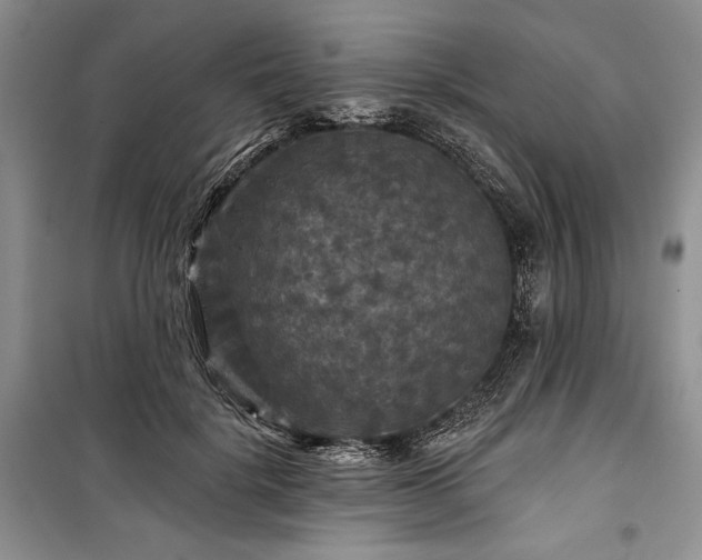 X0000100370652200806131039