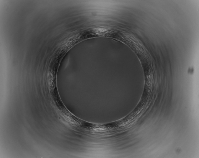 X0000100370653200806131039