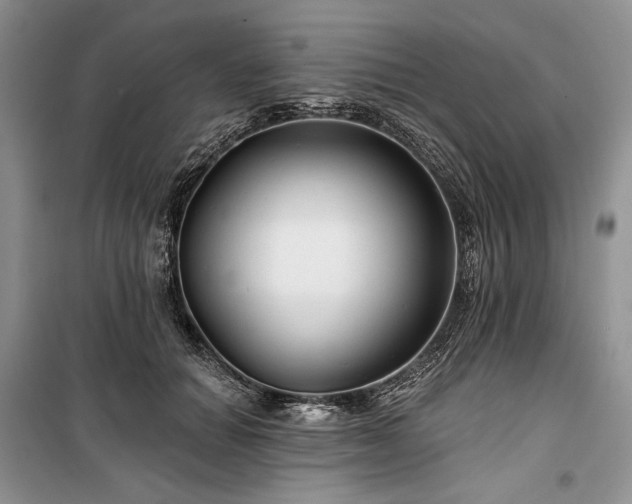 X0000100370654200806131039