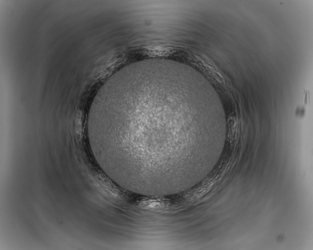 X0000100370655200806131039