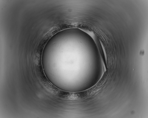 X0000100370656200806131039