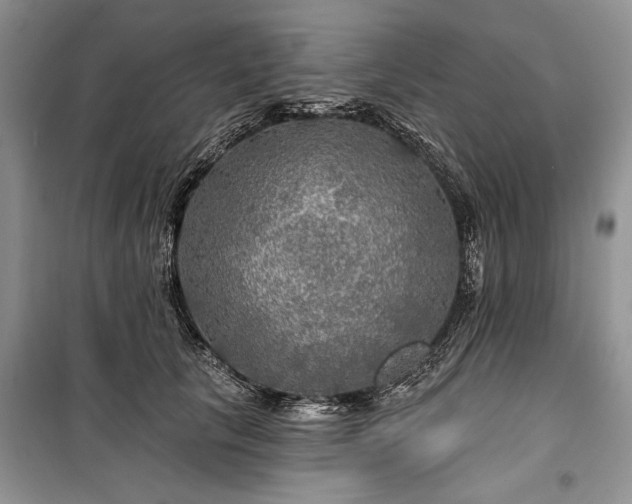 X0000100370657200806131039