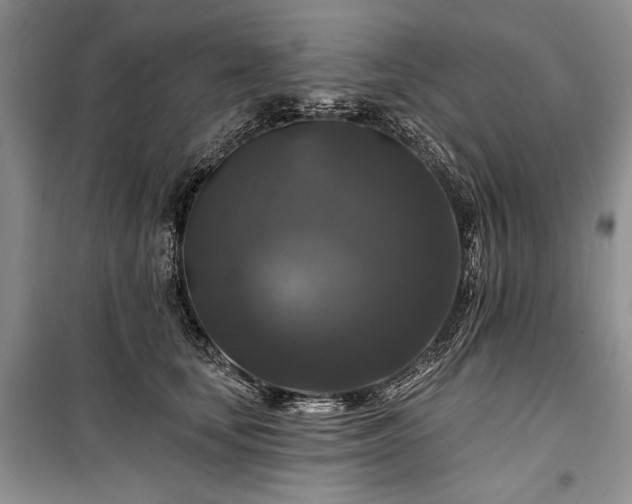 X0000100370659200806131039