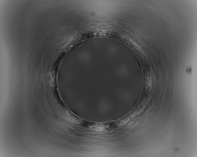 X0000100370661200806131039