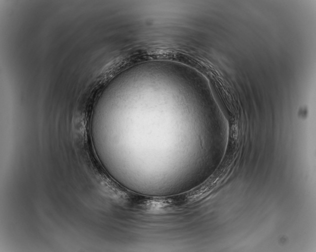 X0000100370662200806131039