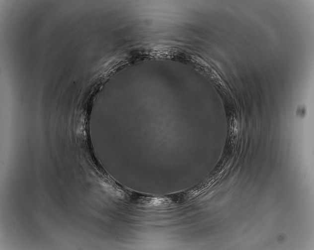 X0000100370663200806131039