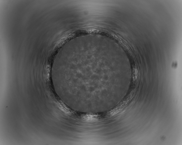 X0000100370664200806131039