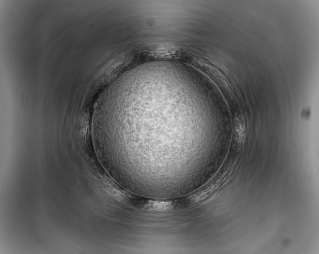 X0000100370665200806131039