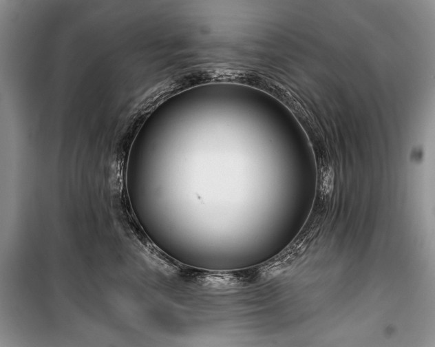 X0000100370666200806131039