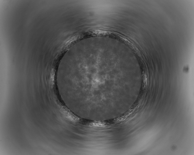 X0000100370668200806131039