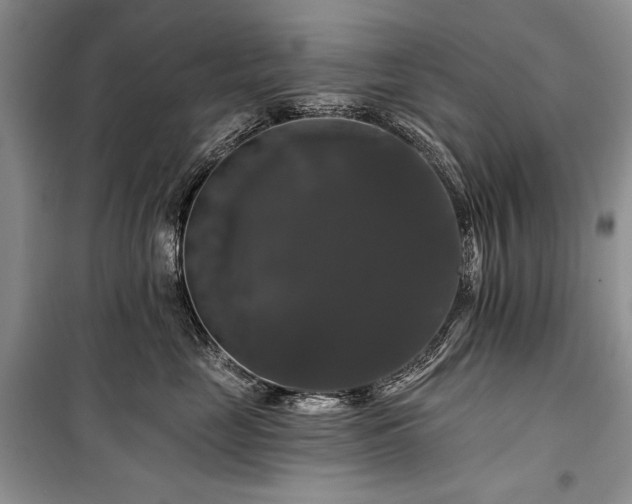 X0000100370669200806131039