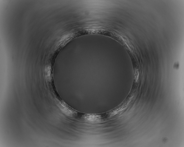 X0000100370670200806131039