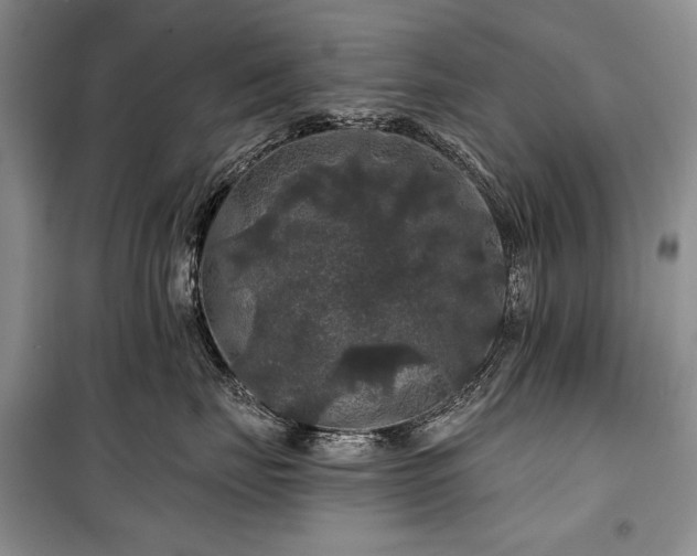 X0000100370671200806131039