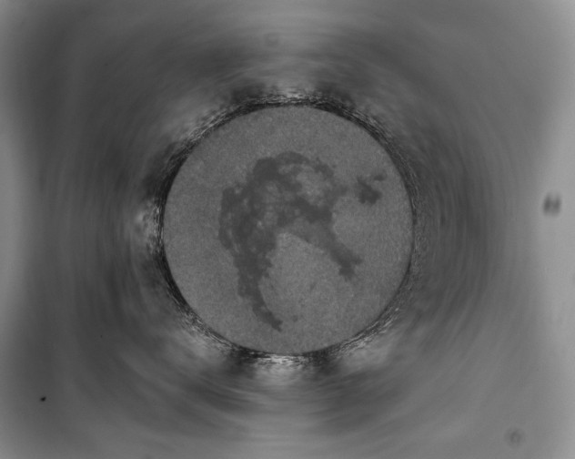 X0000100370672200806131039