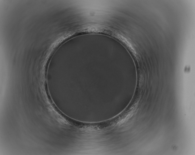 X0000100370673200806131038