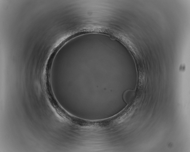 X0000100370674200806131038