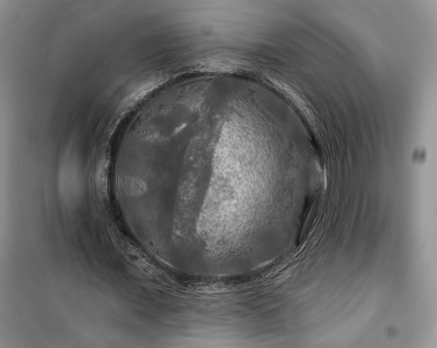 X0000100370675200806131038