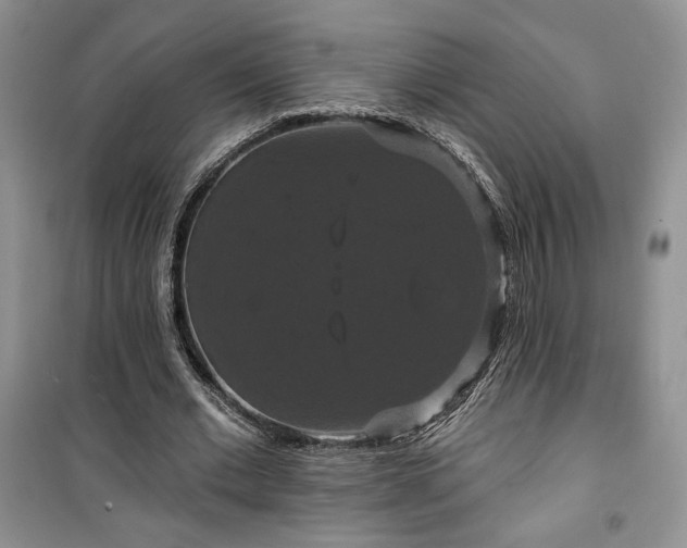 X0000100370677200806131038