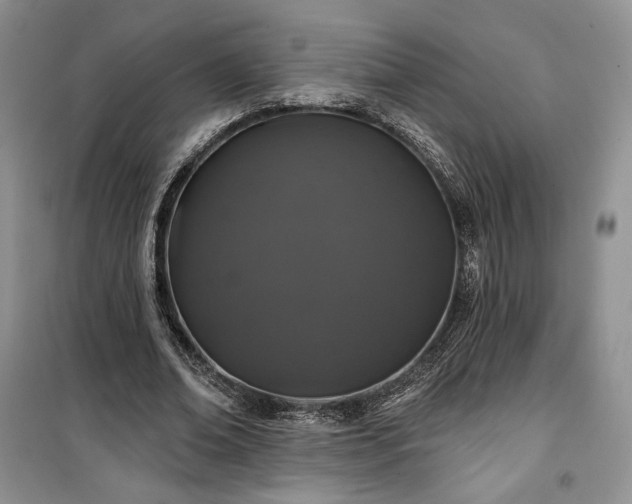 X0000100370678200806131038