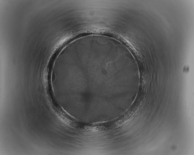 X0000100370679200806131038