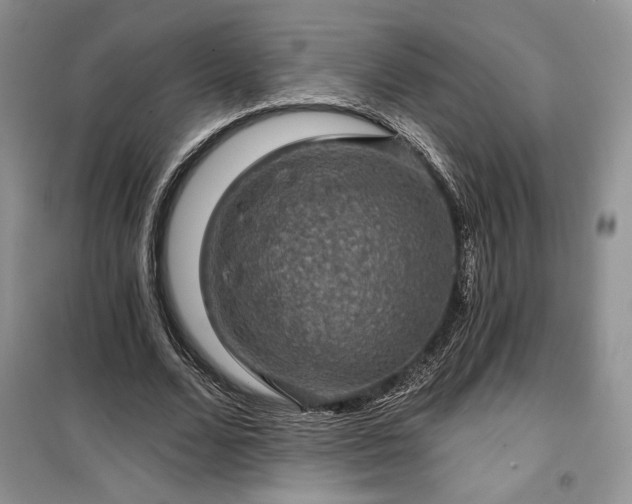 X0000100370680200806131038