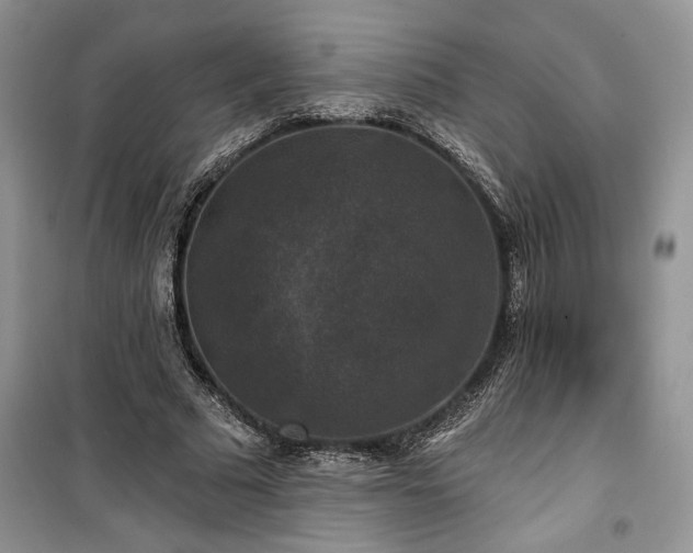 X0000100370681200806131038