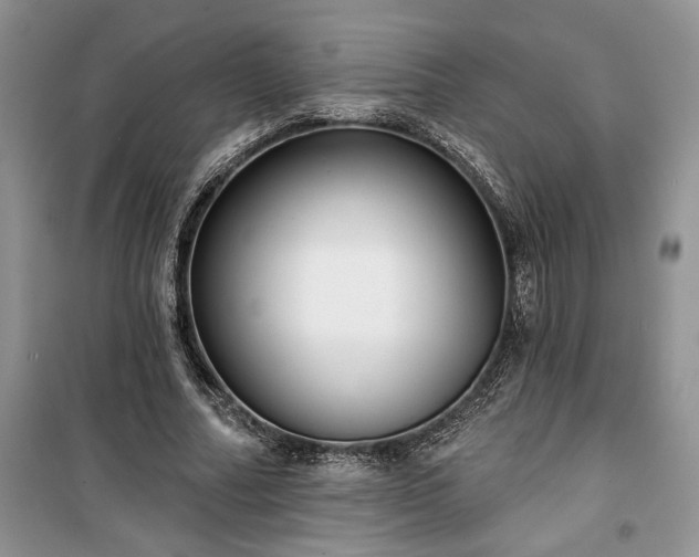 X0000100370682200806131038